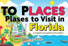 Top Places to Visit in Florida